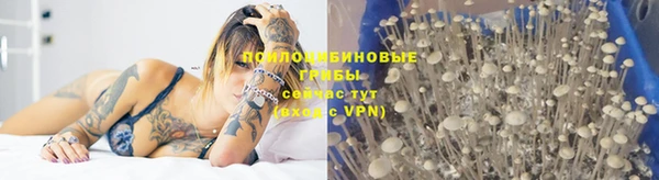 прущие грибы Алексин