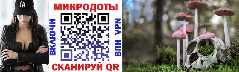 Галлюциногенные грибы MAGIC MUSHROOMS  продажа наркотиков  Палласовка 